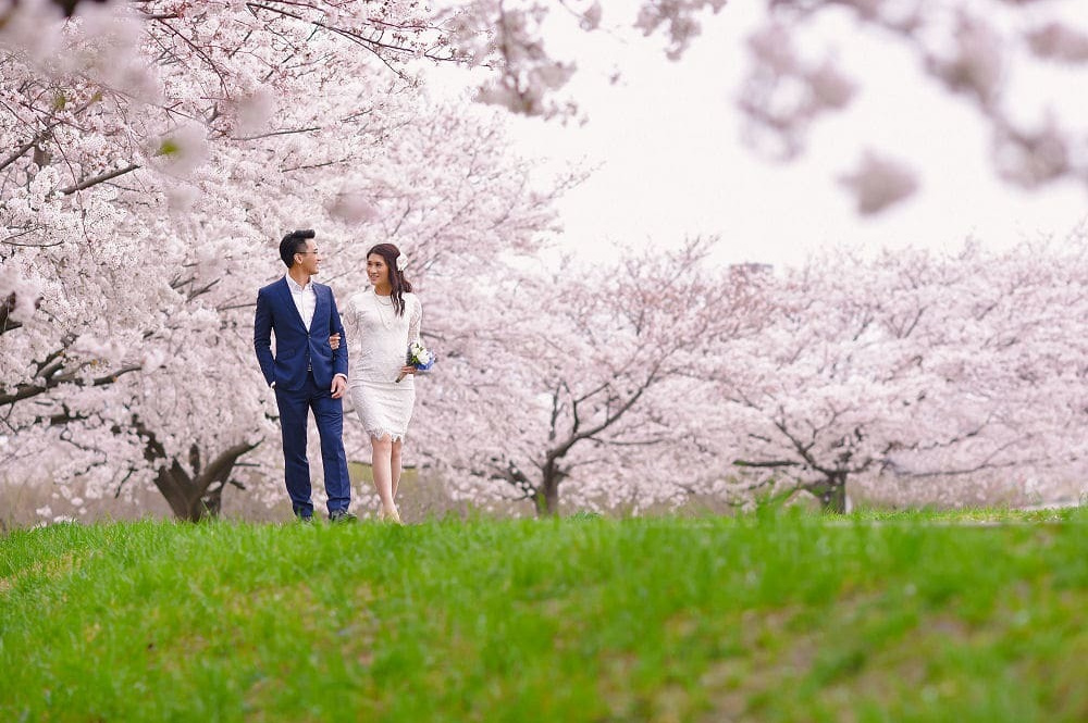 東京的櫻花結婚照外拍
